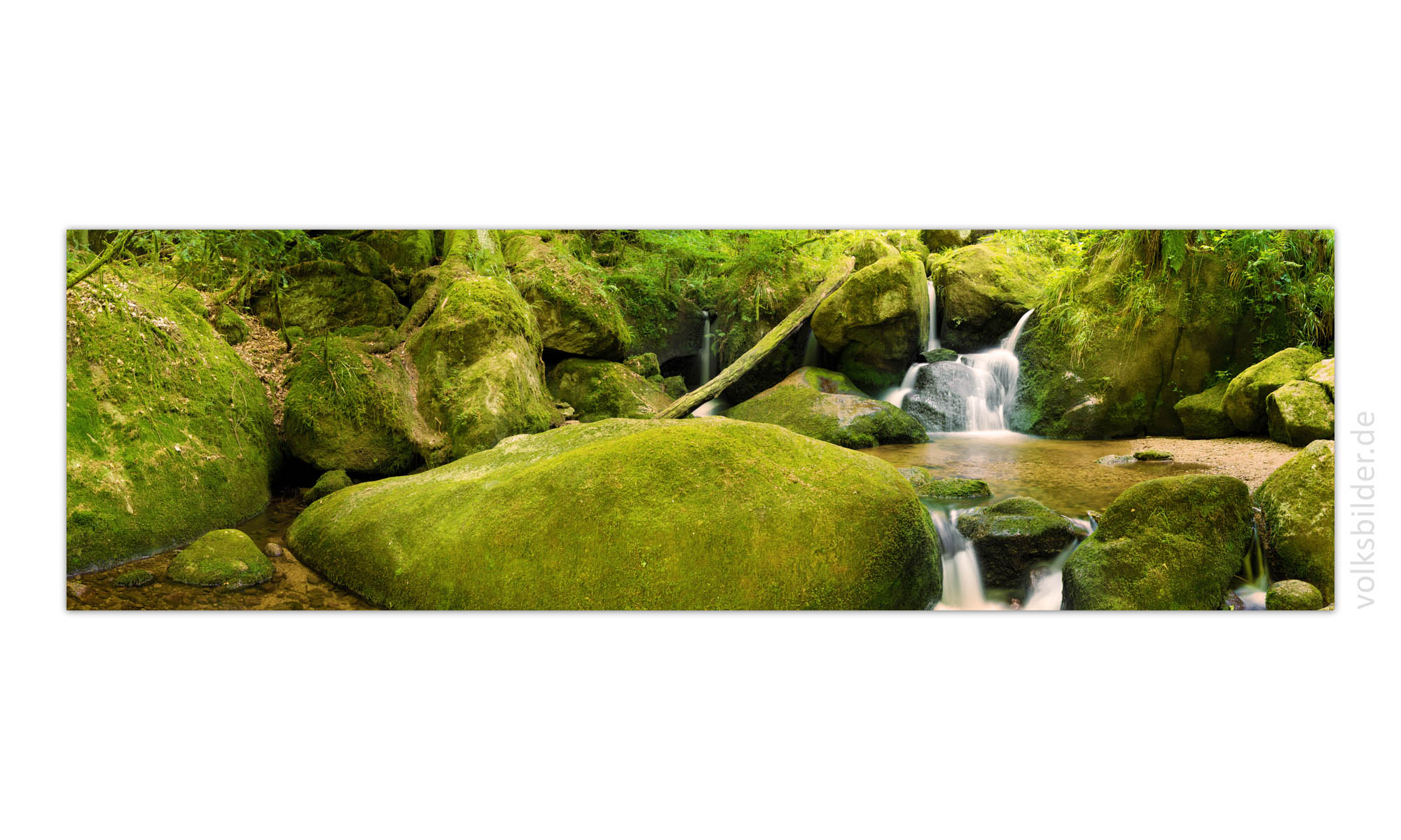 Ein längliches, großes Panoramabild. Auf dem Bild ist ein kleiner Bach zu sehen, der im Wald durch Steine und Felsen fließt.   
